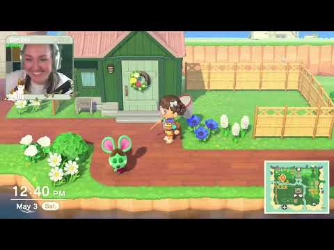 Finishing my ACNH Island before the Switch 2 releases - Gameplay Continues 5-3-25