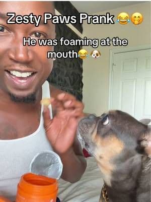 Dog Prank W/ Zesty Paws Bites😭😂 #zestypaws #dogbites #dogtreats #doghealth #TiktokShopCreatorPicks #DealsForEveryYou #superbranddaydfyd #TtsLevelUp #dealsforyoudays #DealsForEver #Deals4You #Dealsforyou #OnSale #frenchie #funny #pets #dogsoftiktok