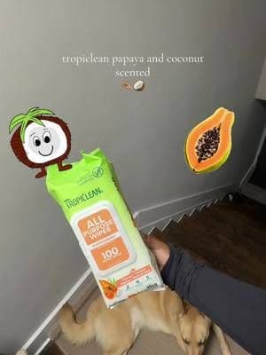 I’ve been seeing these everywhere and they smell so gooddd, 🥥🤏🏽🫧✨ @TropiClean #dogtok #petmusthaves #tropicleanpet #dogmom #tiktokmademebuyit
