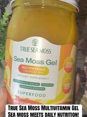 True Sea Moss Multivitamin Gel combines sea moss with added vitamins and minerals that may help support everyday nutritional needs as part of a balanced diet. π₯β¨ #TrueSeaMoss #SeaMossGel #Multivitamin #NutritionalSupport #TikTokShop