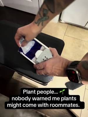 The plants are thriving. Unfortunately, so were the gnats. 😭🪴 I genuinely did not realize how many were hanging around until I checked the Zevo trap. Watching it quietly handle the problem without me chasing tiny bugs around my kitchen? Extremely satisfying. #plants #zevoreviews #tiktokshop #plantmom #gnats