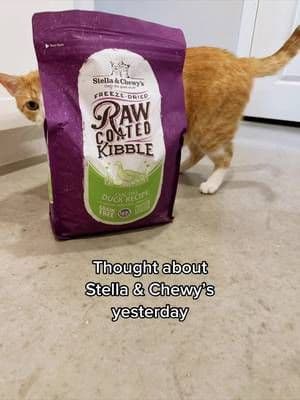 We love @Stella & Chewy’s! #sponsor #stellaandchewys #cattok #catsoftiktok