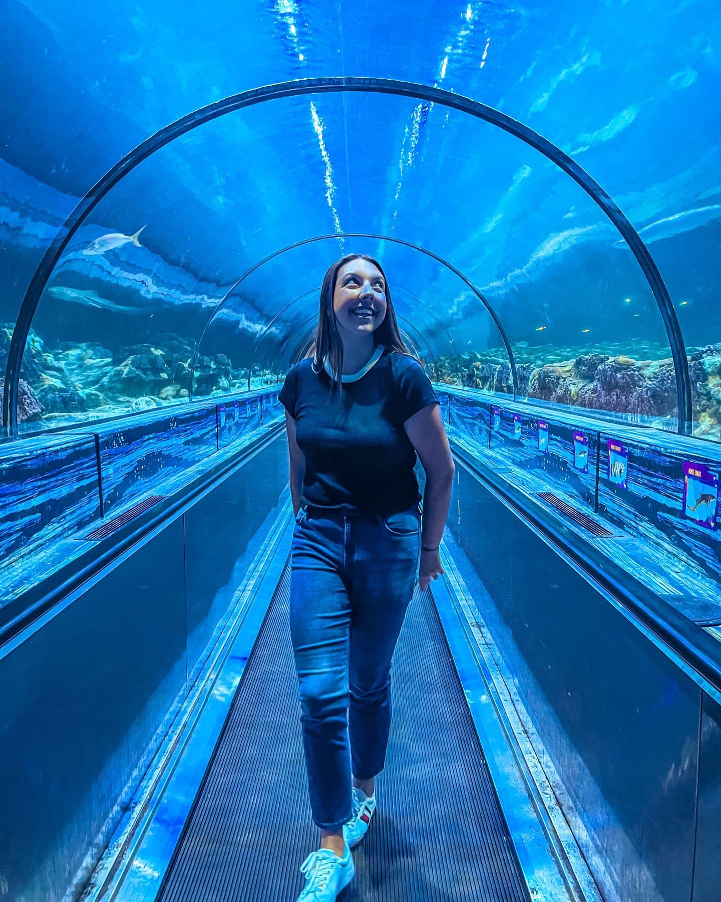 baby’s first hosted event by a theme park🐬🐠✨
#seaworld #hosted #coastersafterdark #seaworldorlando #orlando #florida