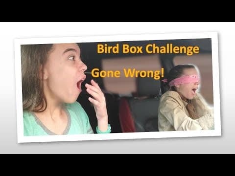 Bird Box Challenge (Gone Wrong!)