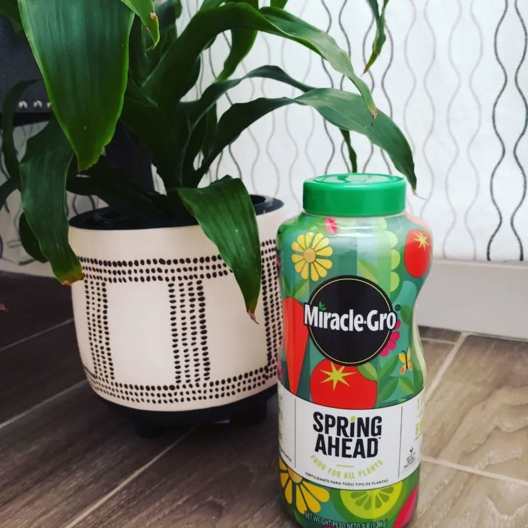 Miracle Grow Spring Ahead is a great product to use for indoor or outdoor plants. This product is easy to use. Just foll