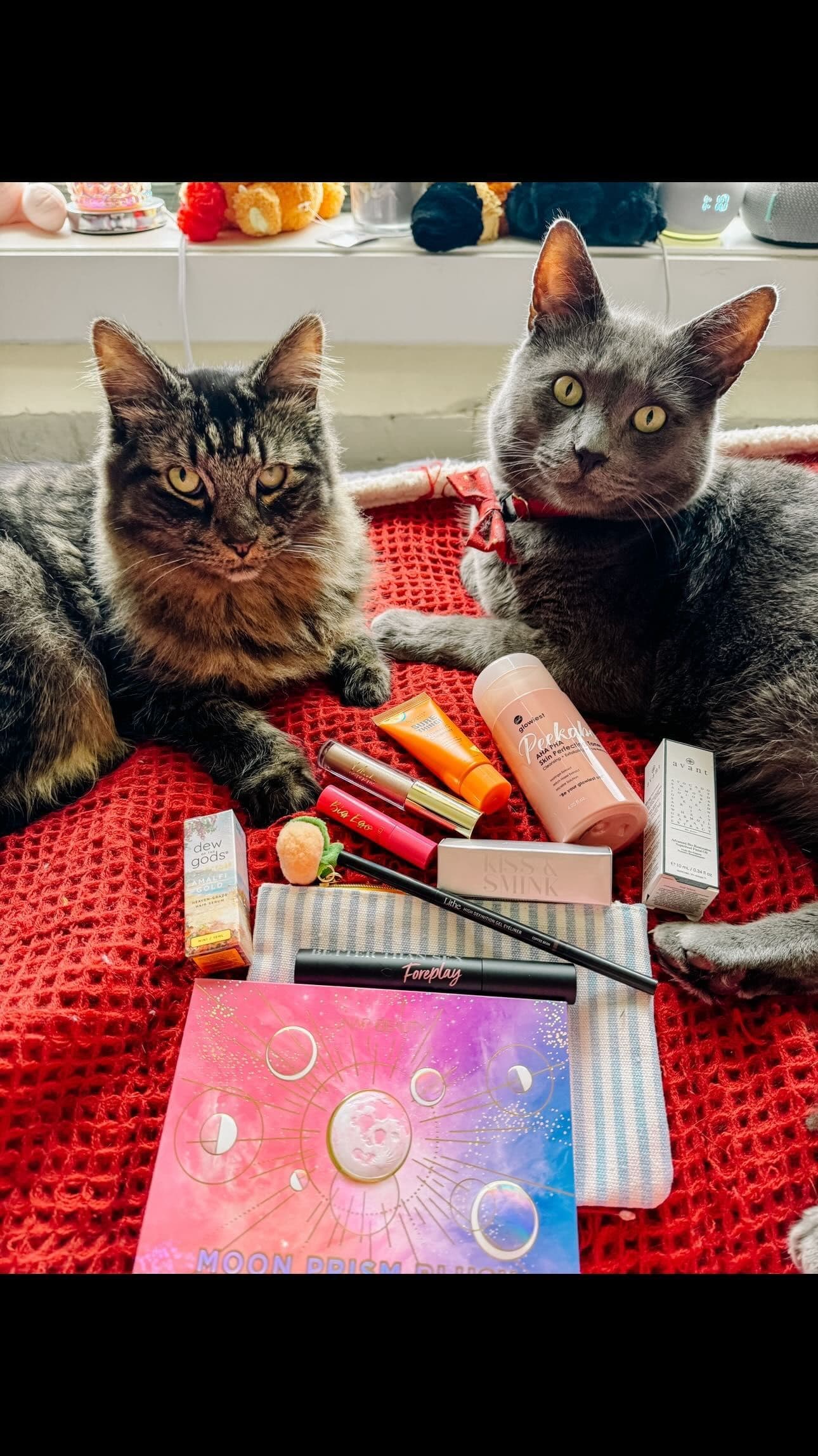 ✨Welcome home✨ #giftedbyipsy April 2024 🏠🐈⬛🐈⬛🛌😻 I’ve been traveling a ton so when I am home the boys, @smokey_ban
