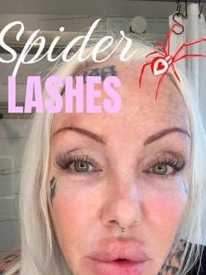 I love the breeze style also know as Kim kor spider lashes and they come in brown now!! #maxcomfi #maxcomfilashes #TikTokShopStockUp #TTSNationalLashDay #maxcomfispiderlashes @Maxcomfi @MaxComfi-Joseph