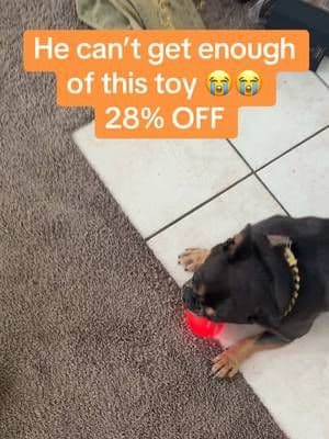 FREE SHIPPING TOO #dogtok #superbranddaydfyd #frenchie #dealsforyoudays #dogtoys #DealsForEvery #TtsLevelUp #tiktokshopcreatorpicks #PetsofDyson
