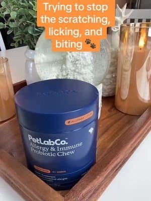 Trying to help my chocolate lab with all that scratching, licking, and biting 🐾 We started him on PetLab Co Allergy & Immune Probiotic Chews. They support gut health, immune function, and allergy relief, all in a tasty chew he actually loves. #PetLabCo #ChocolateLab #DogAllergies #PetWellness #tiktokshopholidayhaul