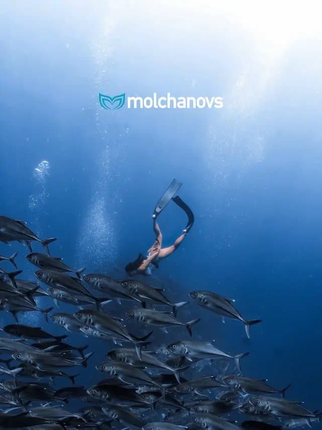 Some people run. Some people journal. Mine is freediving. π As someone who works in the creative crazy space, the ocean