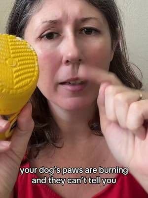 the dog mom guilt is real. 😮💨 #tiktokshopmothersday #tiktokshopstockup #dogmomlife #crocsfordogs #dogshoes
