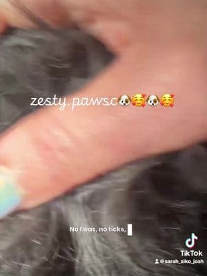 we are a zesty paw family and we recommended to your family 🥰🐶🥰🐶🥰 @Z@Zesty Paws#ze#zestypawsco#sohochici#tiktokshopbacktoschoolsalee#FeaturedShopCreatori#tiktokshopcreatorpics