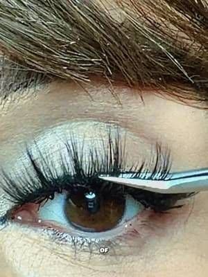 @Lilly Lashes #LILLYLASHES my favorite type of style Miami icons, dramatic lash a flawless look every time high-quality lashes easy to use #TikTokShopCreatorPics #tiktokshopholidayhall #tiktokshopfalldealsforyoudays #selfadhesivelashes