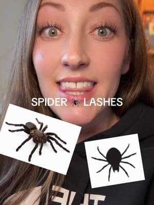 You already know @Maxcomfi is my go-to and I’m LOVING the breezy style aka viral spider lashes 😍 #maxcomfi #maxcomfilashes #breezespiderlashes #lashclusters #tiktokshopcreatorpicks