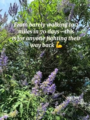 🌿 Day 70 of Recovery | A Day in My Life Healing + Living 🌿 70 days ago, I could barely walk without pain. Today? I made it 2 miles 🙌 Sharing a full day of recovery wins + little joys here in Ocean City: 🦵 New rehab exercises to build core & hip strength 🍓 Basil ice cubes + strawberry lemonade = humid day lifesaver 📖 The Tenant by Freida McFadden is keeping me hooked 🦀 Crabs for dinner because… Maryland! ⚡ And yep—another storm rolling in tonight over the bay 🛍️ Amazon Haul (some gifted 💌): • #Redken All Soft Shampoo • Plaque Off for Abby the Chi 🐶 • Ashlyn Face Mask (gifted) • Calyan Wax Co Candle in Lemon & Sage (gifted – smells unreal) • Befen Black Puffer Tote (gifted and obsessed) If you're on any kind of healing journey right now, I hope this gives you a little spark. We’re all just trying to move forward—one walk, one good book, one iced drink at a time 💪💛 💬 Which haul item would you grab first? #gifted #ad #RecoveryJourney #MapMyWalk #NorthsideParkOCMD #MidlifeLifestyle #ThisIs57 #AmazonFinds #GiftedItems #SelfCareRoutine #InjuryRecovery #ComebackSeason #OceanCityMD #DayInTheLife #HealingVibes #MobilityTraining #CrabDinner #SmallWinsBigWins