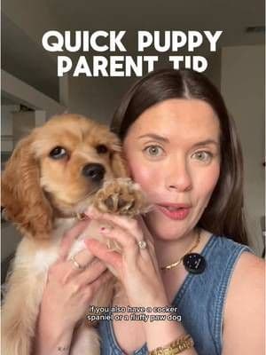 When did you realize the problem was never the pee… it was the pee pee paws? 😅🐾 Long are the days when I had to chase her down thanks to these @earthrated puppy pads. They work fast so her paws stay dry– before she starts running! If you have a fluffy-paw dog (or plan on getting one), trust me when I say these are a MUST. 💬 Click the orange cart for the exact pee pads we use. #AD #EarthRatedPartner