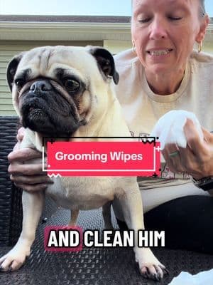 Check out these pet grooming wipes for cats and dogs @earthrated #petsoftiktok #dogtok #pug #earthrateddogmom #tiktokshopstockup