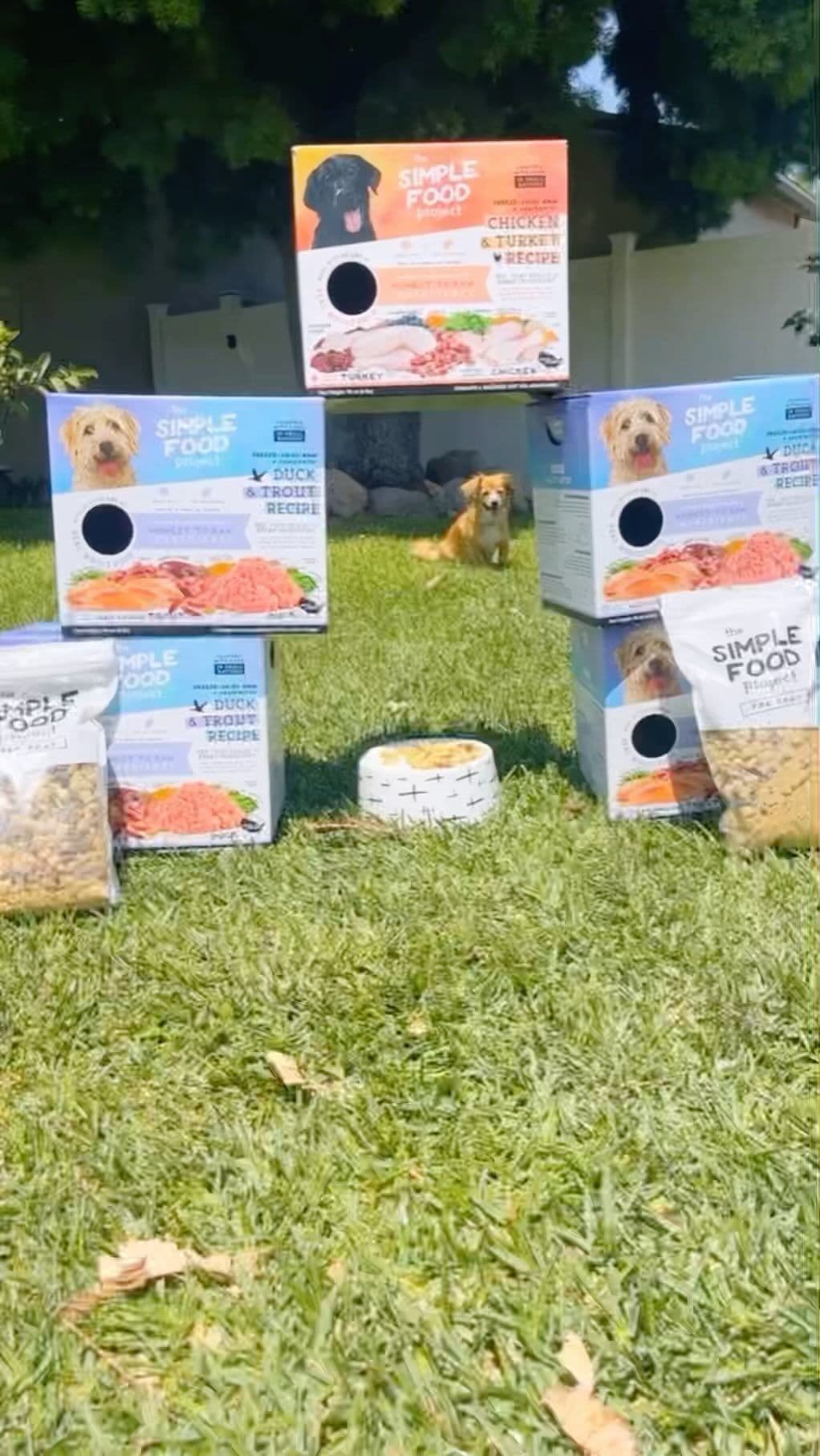 Food that will make you feel at home🤤
.
@simplefoodproject is delicious! Their food is made of 14 real ingredients all