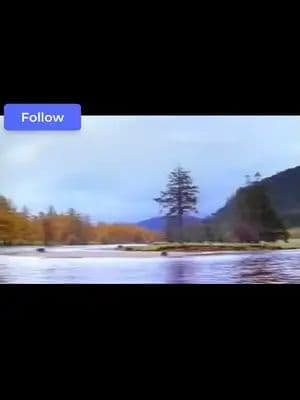 #funny #ad #commercial #johnwest #fresh #salmon