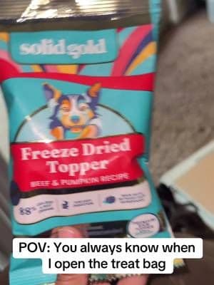 Solid Gold Freeze Dried Raw Dog Topper boosts flavor, adds raw nutrition, and makes picky eaters excited for meals again 🐶 grab yours now before it sells out ⏳🛒 #tiktokshop #tiktokmademebuyit #dogsoftiktok #pickyeater #petparents